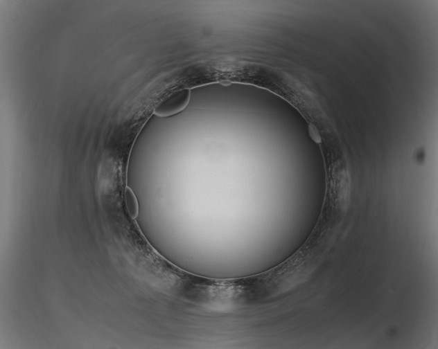 X0000116580225200912101547