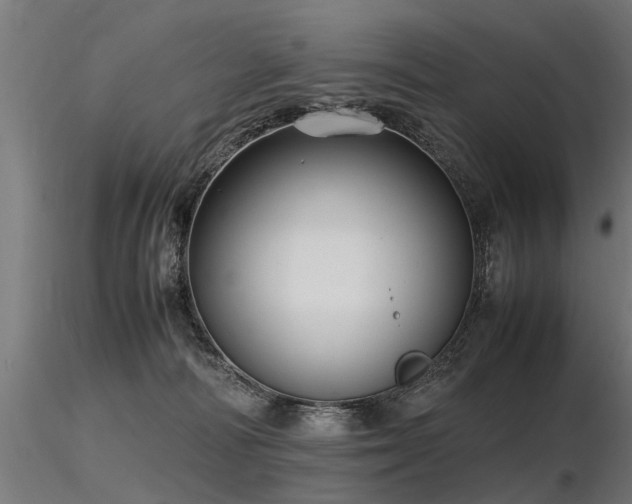 X0000116580226200912101547