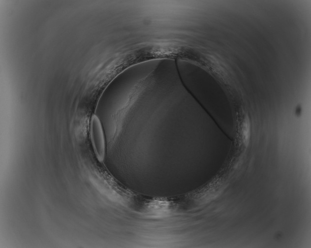 X0000116580227200912101547