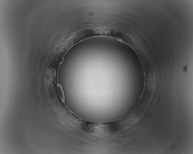 X0000116580229200912101547