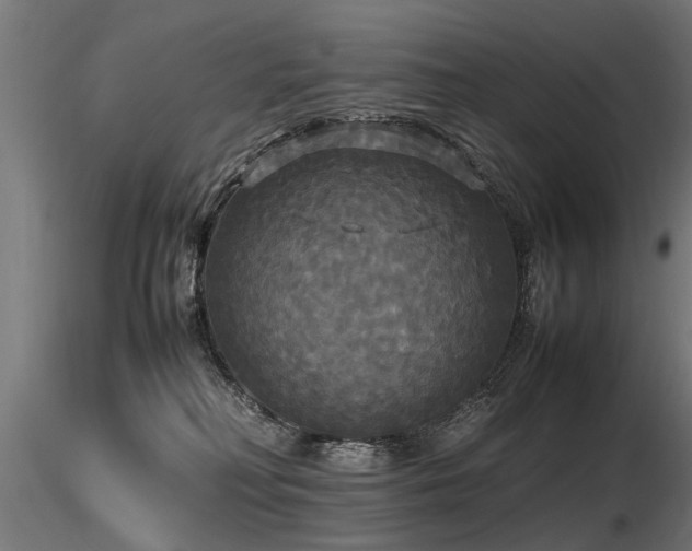 X0000116580230200912101547