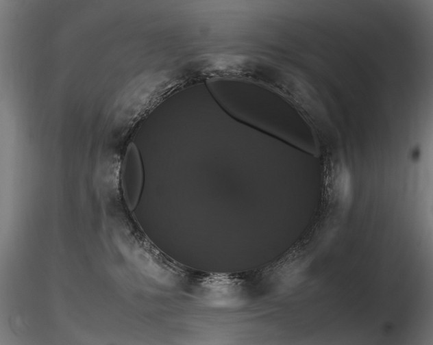 X0000116580231200912101547