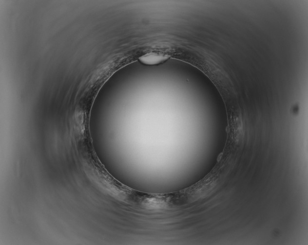 X0000116580232200912101547