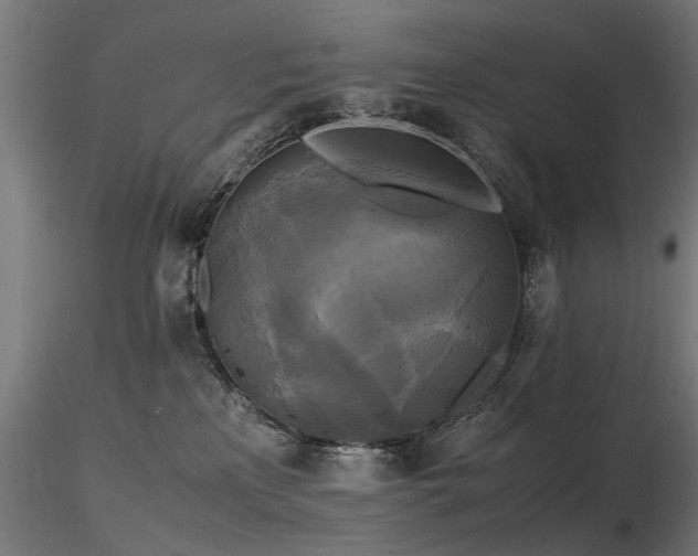 X0000116580233200912101547