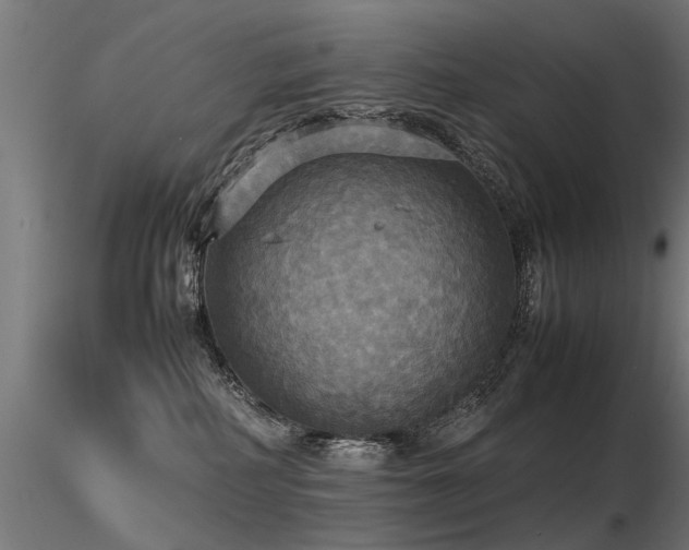 X0000116580234200912101547