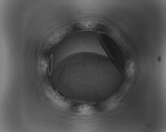 X0000116580235200912101547