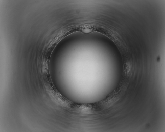 X0000116580236200912101547