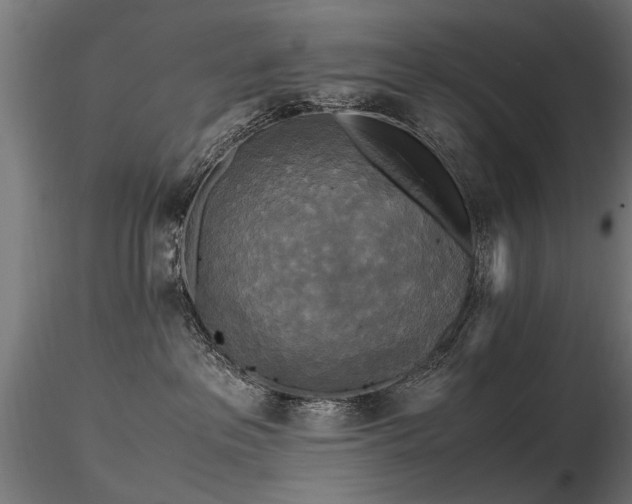 X0000116580237200912101547