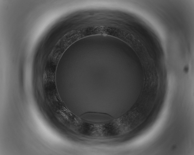 X0000116580239200912101547