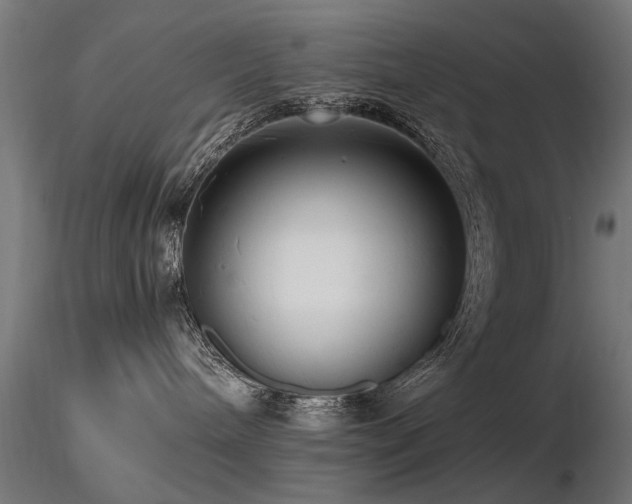 X0000116580240200912101547