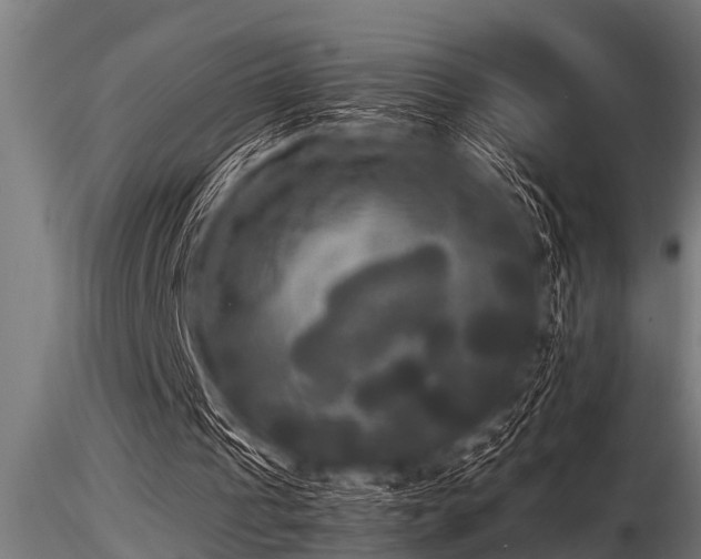 X0000116580241200912101546