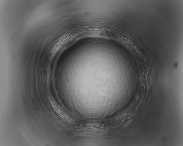 X0000116580242200912101546