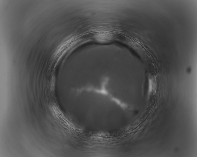 X0000116580243200912101546