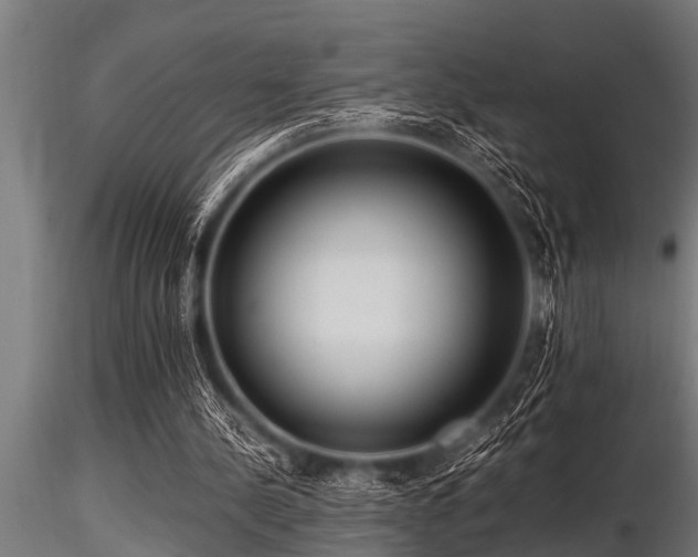 X0000116580244200912101546