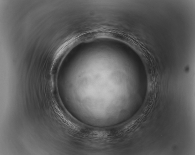 X0000116580245200912101546