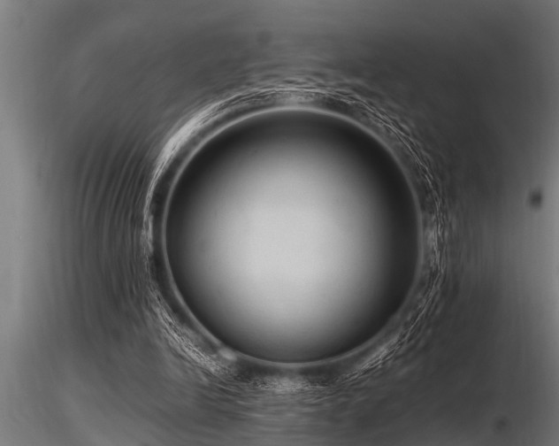 X0000116580246200912101546