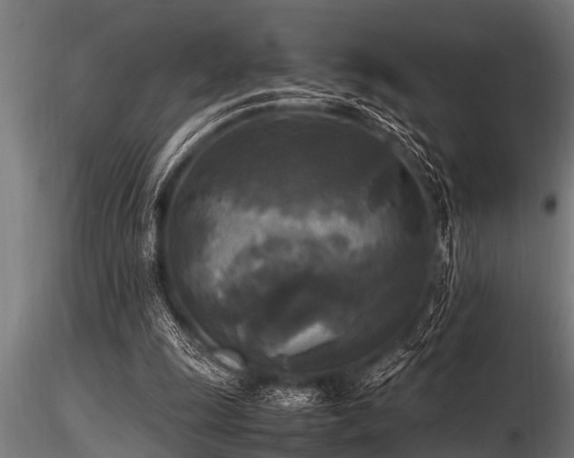 X0000116580247200912101547