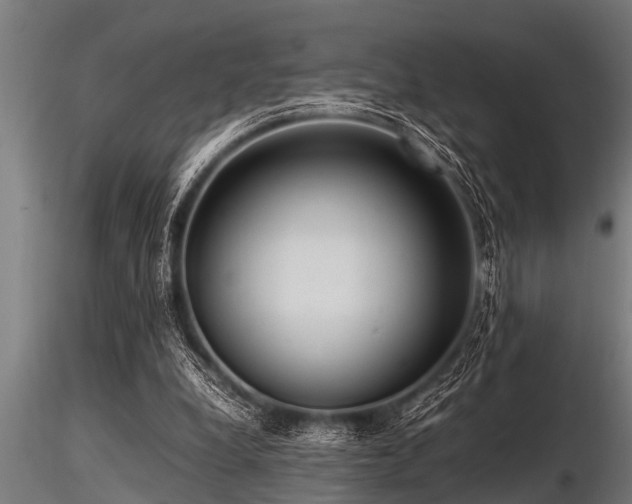 X0000116580248200912101547