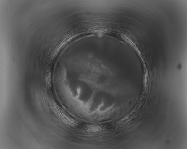 X0000116580249200912101547