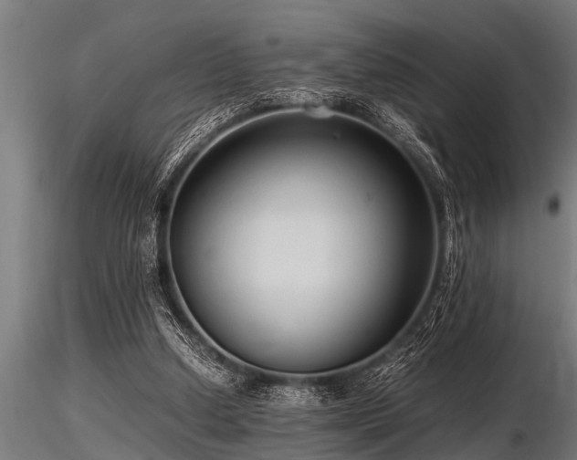 X0000116580250200912101547