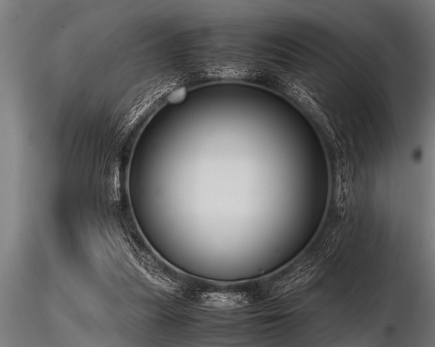 X0000116580251200912101547