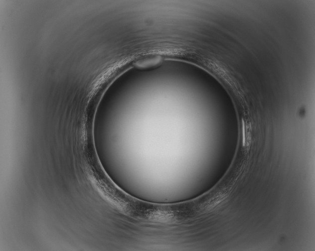 X0000116580252200912101547