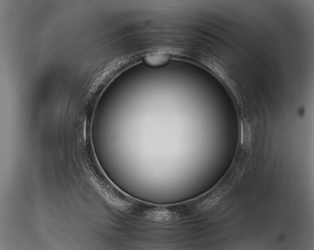 X0000116580253200912101547