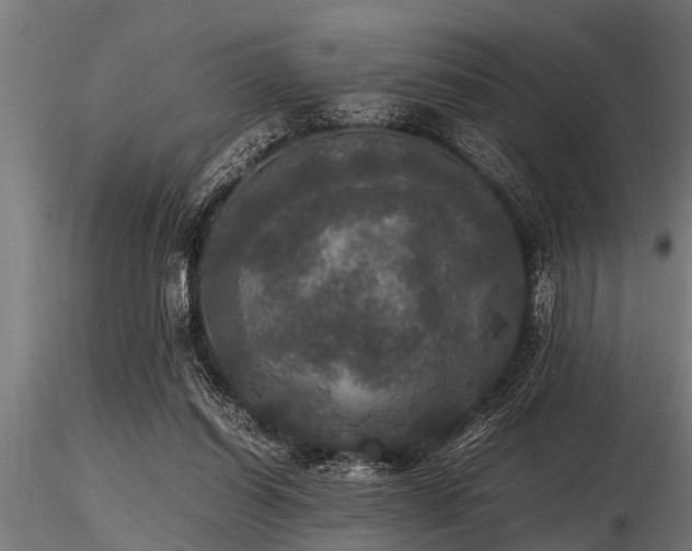 X0000116580254200912101547