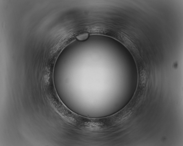 X0000116580255200912101547