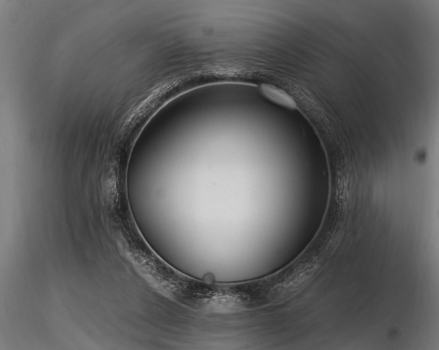 X0000116580256200912101547