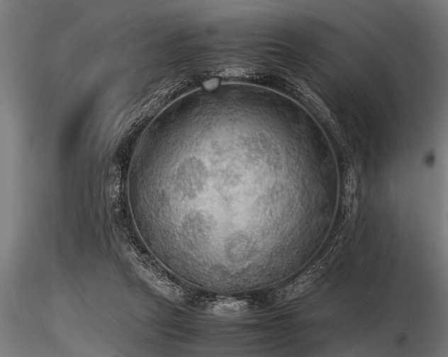 X0000116580257200912101547