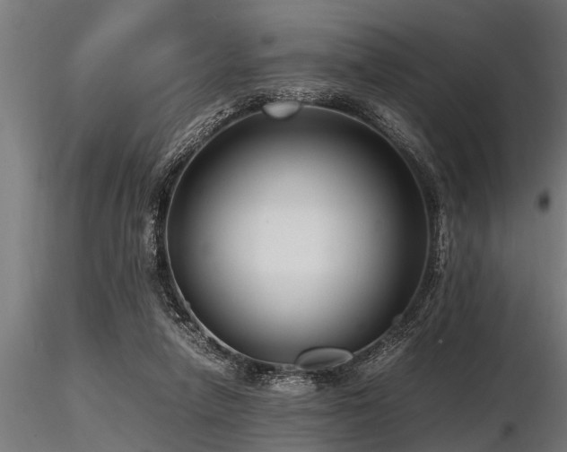 X0000116580258200912101547