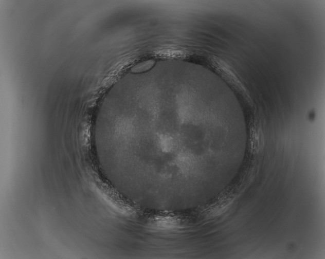 X0000116580259200912101547