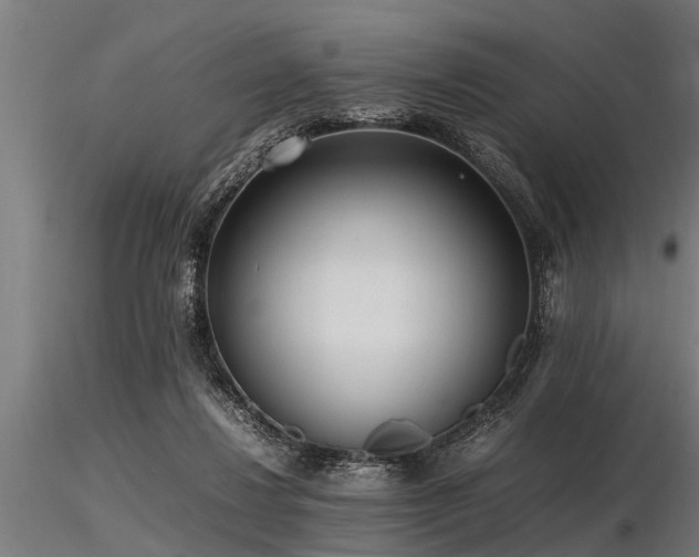 X0000116580260200912101547