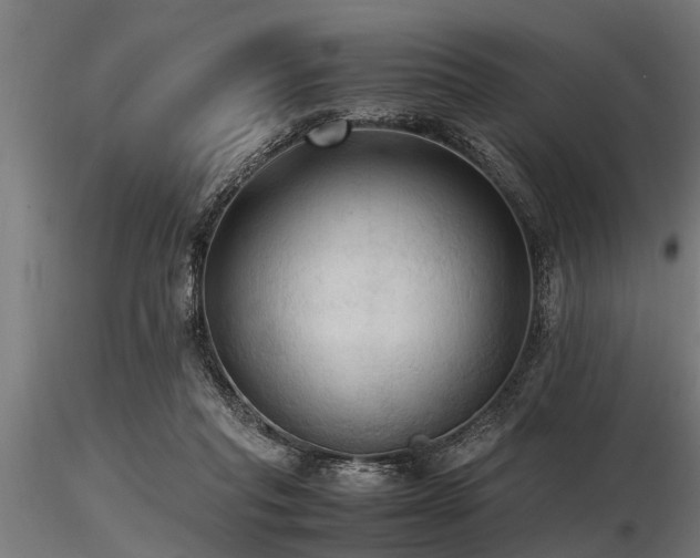 X0000116580261200912101547