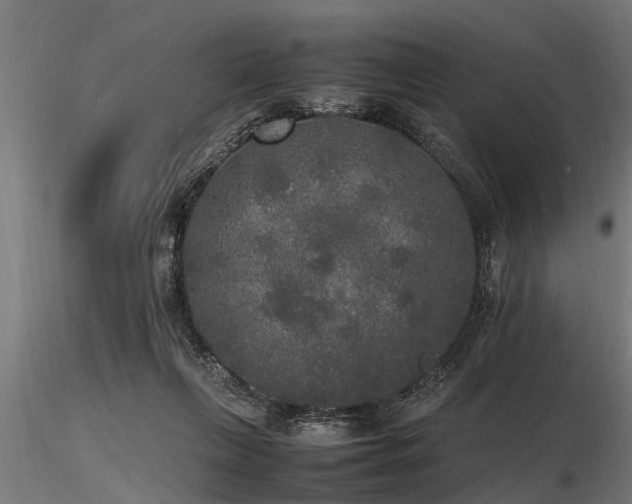 X0000116580263200912101547