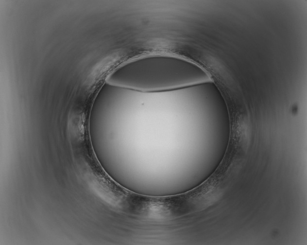 X0000116580264200912101547