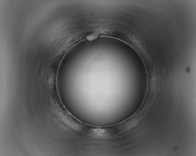 X0000116580265200912101547