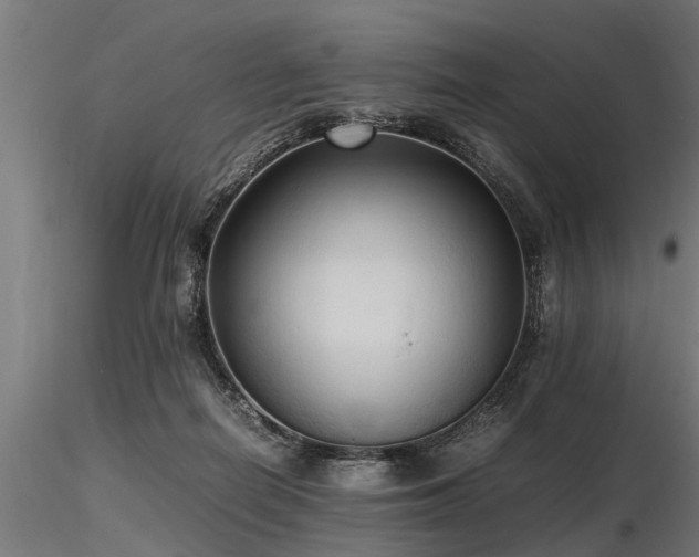 X0000116580266200912101547