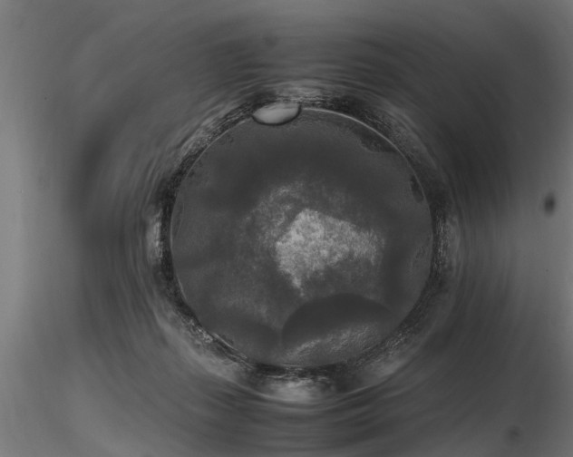 X0000116580267200912101547