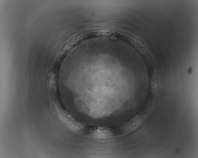 X0000116580270200912101547