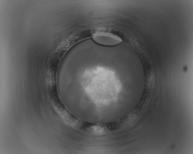 X0000116580272200912101547