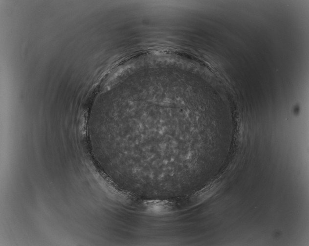 X0000116580273200912101547