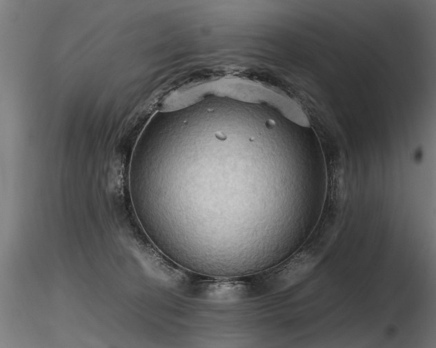 X0000116580274200912101547