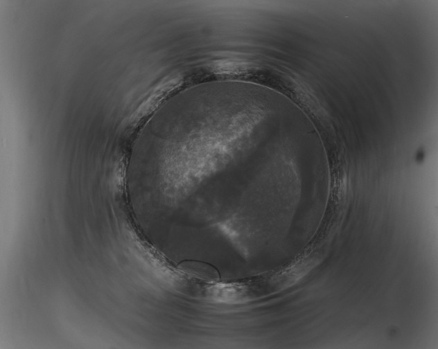 X0000116580277200912101547