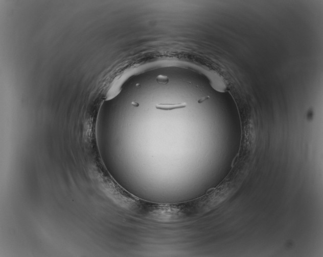 X0000116580278200912101547