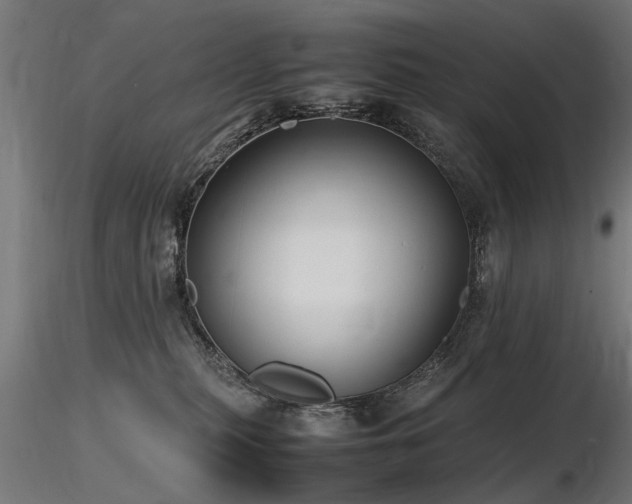 X0000116580279200912101547