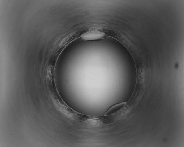 X0000116580280200912101547