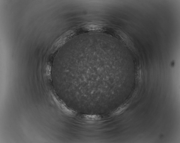 X0000116580281200912101547