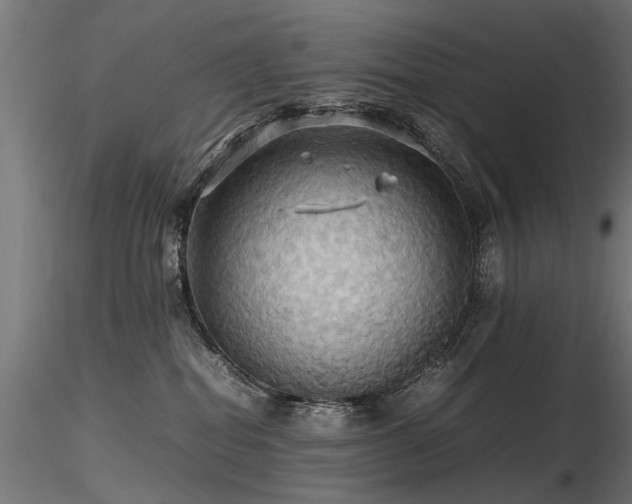 X0000116580282200912101547